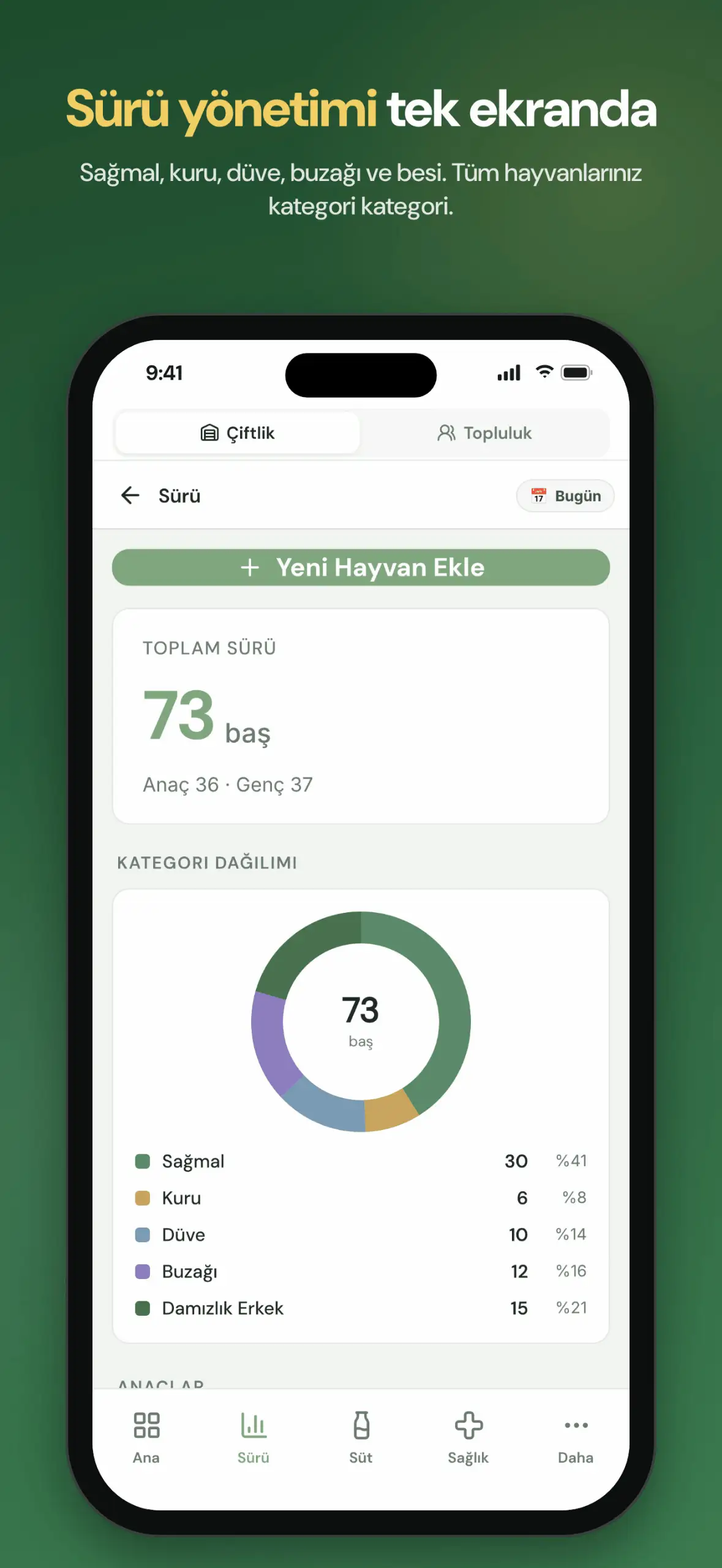 Ahırım Cebimde sürü ekranı: toplam hayvan sayısı ve sağmal, kuru, düve, buzağı kategorilerine göre dağılım grafiği. Örnek veri.